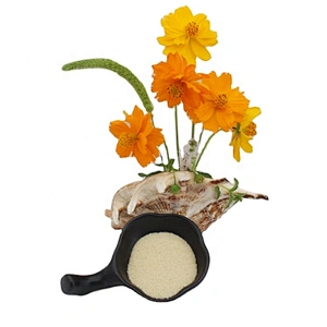 Well Known Brand Granule Food grade Gelatin powder Halal for Food Additive