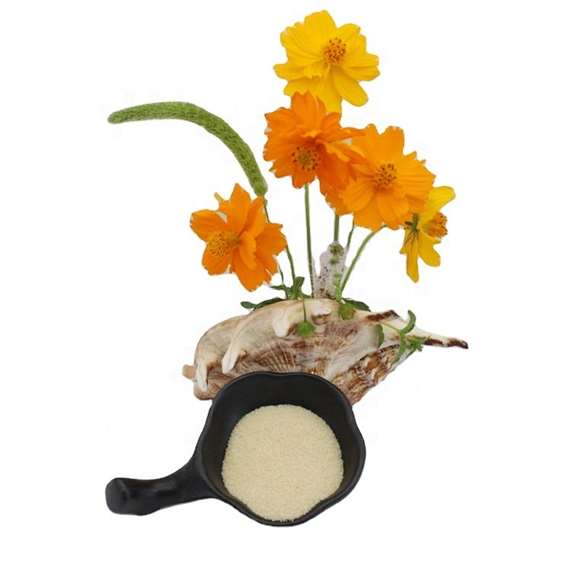 Well Known Brand Granule Food grade Gelatin powder Halal for Food Additive